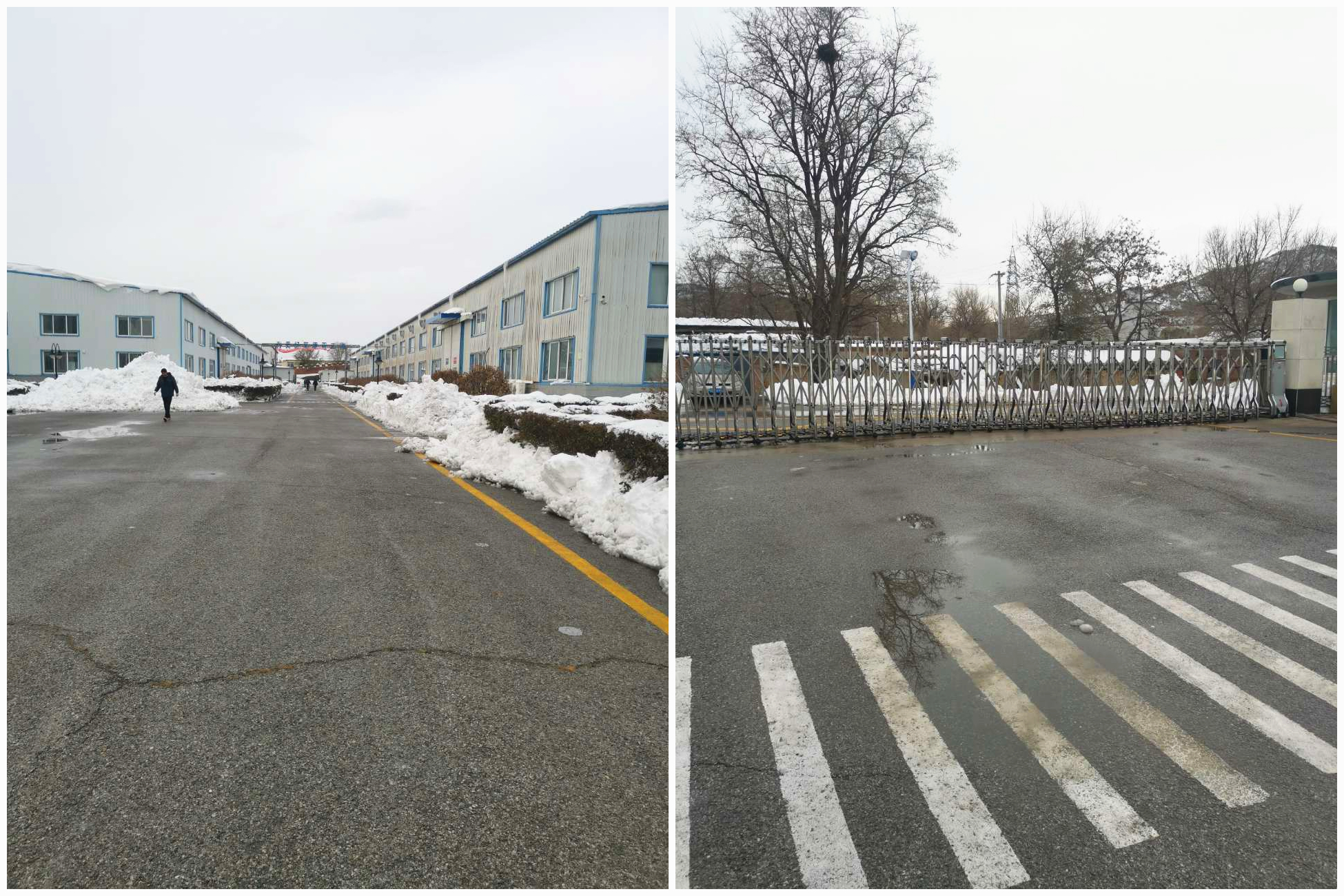 1645065434448438.jpg 211109 - ɨѩÎÀ³§01_¸±±¾.jpg